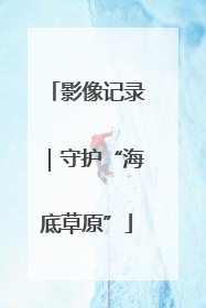影像记录｜守护“海底草原”