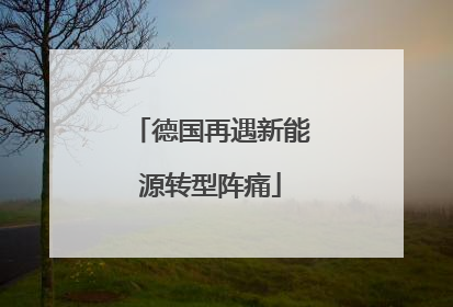 德国再遇新能源转型阵痛