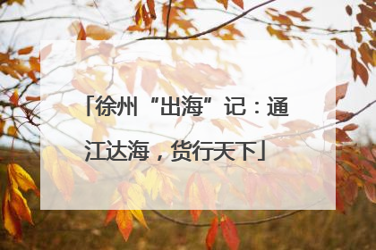 徐州“出海”记：通江达海，货行天下