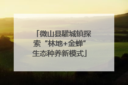 微山县驩城镇探索“林地+金蝉”生态种养新模式