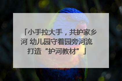 小手拉大手，共护家乡河 幼儿园守着园旁河流打造“护河教材”