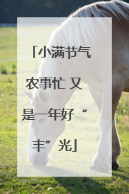 小满节气农事忙 又是一年好“丰”光