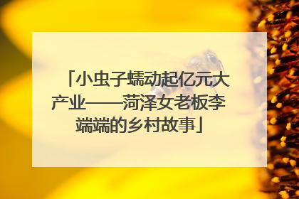 小虫子蠕动起亿元大产业——菏泽女老板李端端的乡村故事