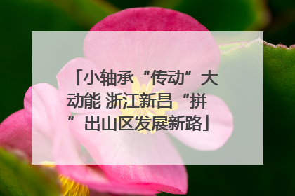 小轴承“传动”大动能 浙江新昌“拼”出山区发展新路