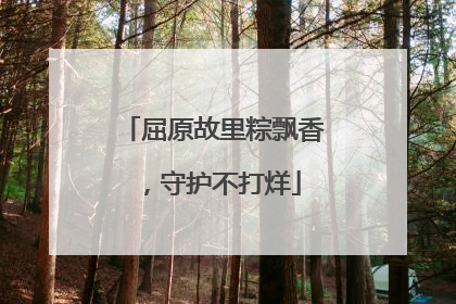 屈原故里粽飘香，守护不打烊