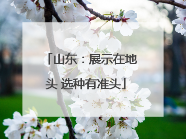 山东：展示在地头 选种有准头
