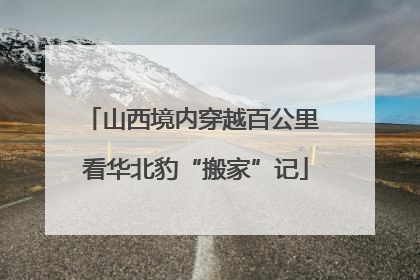 山西境内穿越百公里 看华北豹“搬家”记