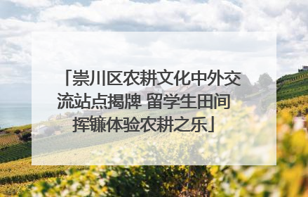 崇川区农耕文化中外交流站点揭牌 留学生田间挥镰体验农耕之乐