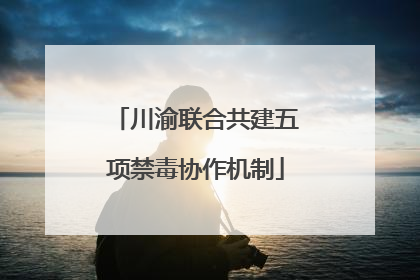川渝联合共建五项禁毒协作机制
