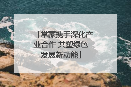 常蒙携手深化产业合作 共塑绿色发展新动能