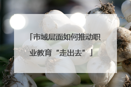 市域层面如何推动职业教育“走出去”