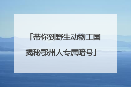 带你到野生动物王国揭秘鄂州人专属暗号
