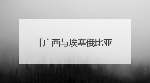 广西与埃塞俄比亚开展经贸合作交流