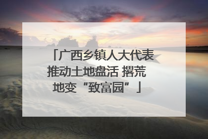 广西乡镇人大代表推动土地盘活 撂荒地变“致富园”