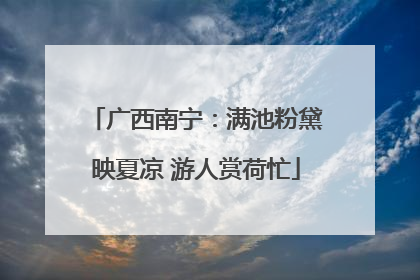 广西南宁：满池粉黛映夏凉 游人赏荷忙