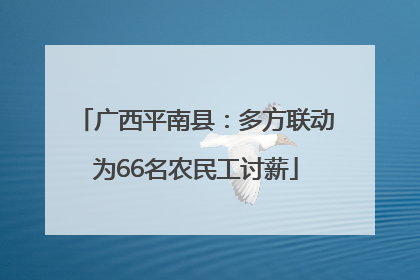 广西平南县：多方联动为66名农民工讨薪