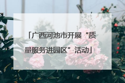 广西河池市开展“质量服务进园区”活动