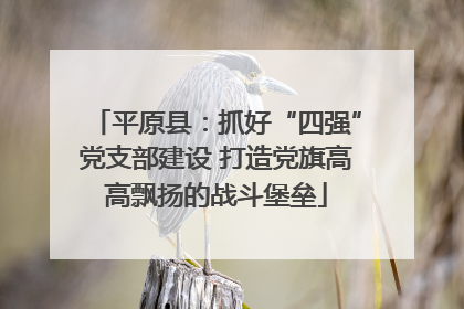 平原县：抓好“四强”党支部建设 打造党旗高高飘扬的战斗堡垒