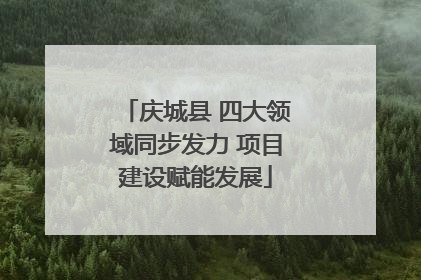 庆城县 四大领域同步发力 项目建设赋能发展