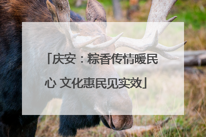 庆安：粽香传情暖民心 文化惠民见实效