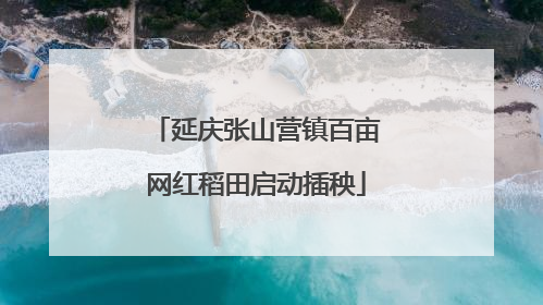 延庆张山营镇百亩网红稻田启动插秧