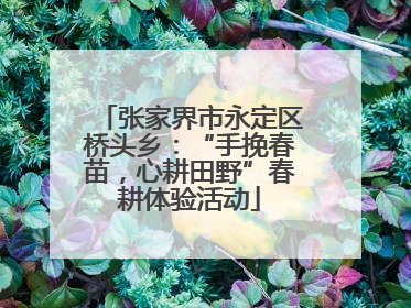 张家界市永定区桥头乡：“手挽春苗，心耕田野”春耕体验活动