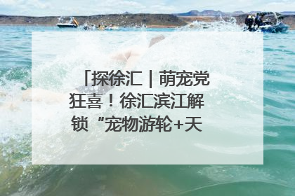 探徐汇｜萌宠党狂喜！徐汇滨江解锁“宠物游轮+天台乐园”双玩法