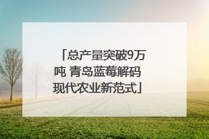 总产量突破9万吨 青岛蓝莓解码现代农业新范式