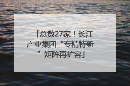 总数27家！长江产业集团“专精特新”矩阵再扩容