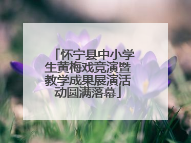 怀宁县中小学生黄梅戏竞演暨教学成果展演活动圆满落幕