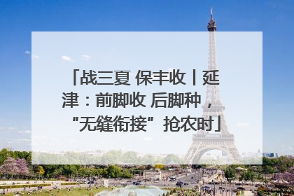 战三夏 保丰收丨延津：前脚收 后脚种，“无缝衔接”抢农时