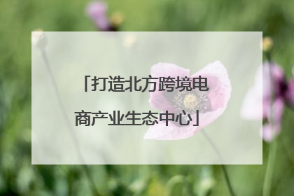 打造北方跨境电商产业生态中心