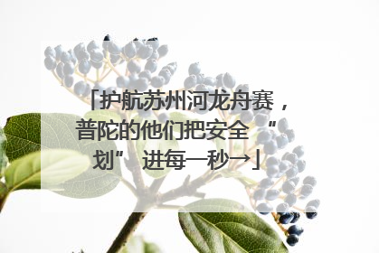 护航苏州河龙舟赛，普陀的他们把安全 “划” 进每一秒→
