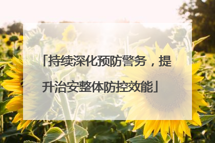 持续深化预防警务，提升治安整体防控效能
