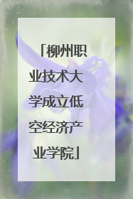 柳州职业技术大学成立低空经济产业学院