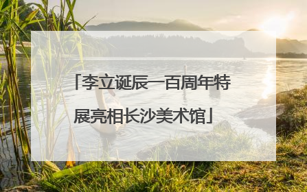 李立诞辰一百周年特展亮相长沙美术馆