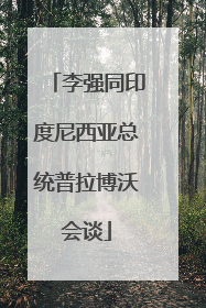 李强同印度尼西亚总统普拉博沃会谈