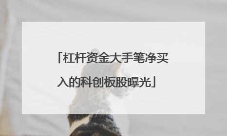 杠杆资金大手笔净买入的科创板股曝光