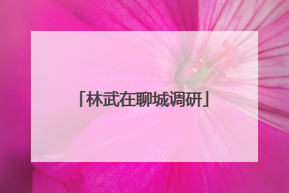 林武在聊城调研