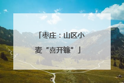 枣庄：山区小麦“喜开镰”