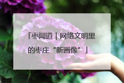 枣闻道｜网络文明里的枣庄“新画像”