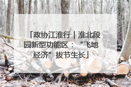 政协江淮行｜淮北段园新型功能区：“飞地经济”拔节生长