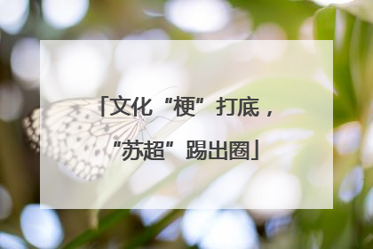 文化“梗”打底，“苏超”踢出圈
