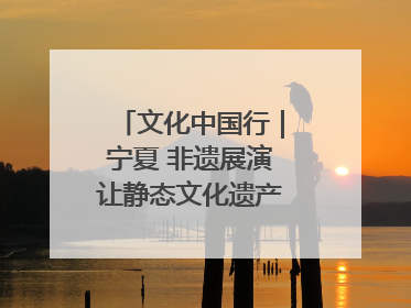 文化中国行｜宁夏 非遗展演让静态文化遗产“活”起来