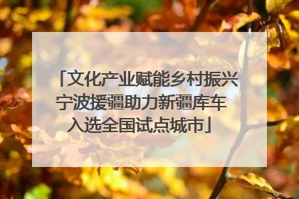 文化产业赋能乡村振兴 宁波援疆助力新疆库车入选全国试点城市