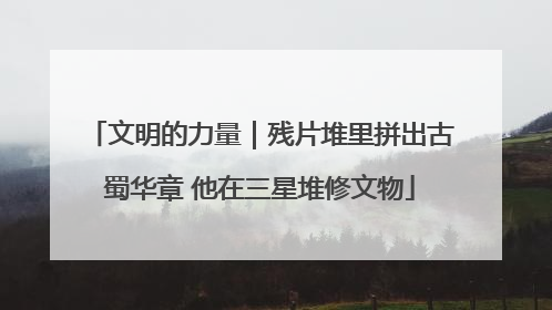 文明的力量｜残片堆里拼出古蜀华章 他在三星堆修文物