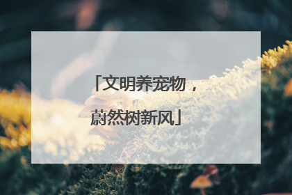 文明养宠物，蔚然树新风
