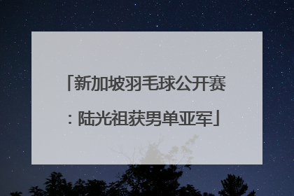 新加坡羽毛球公开赛：陆光祖获男单亚军