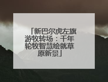 新巴尔虎左旗游牧转场：千年轮牧智慧绘就草原新景