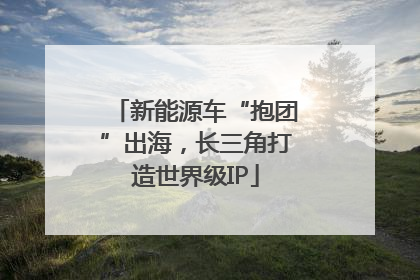 新能源车“抱团”出海，长三角打造世界级IP